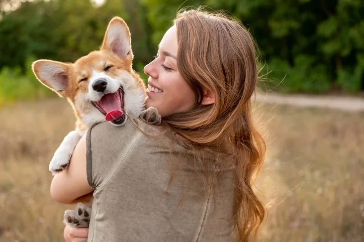 13 Sorprendentes Descubrimientos del Cerebro Canino y su Vínculo con los Humanos
