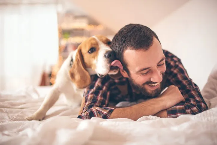 13 Sorprendentes Descubrimientos del Cerebro Canino y su Vínculo con los Humanos