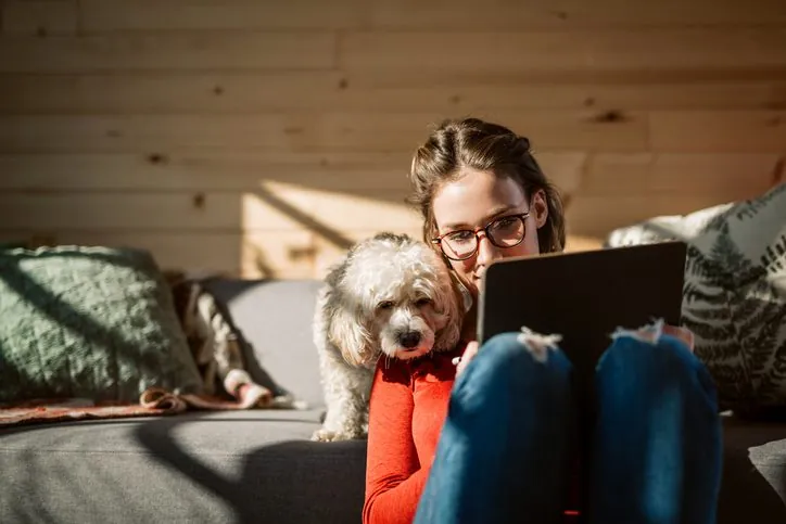 13 Sorprendentes Descubrimientos del Cerebro Canino y su Vínculo con los Humanos