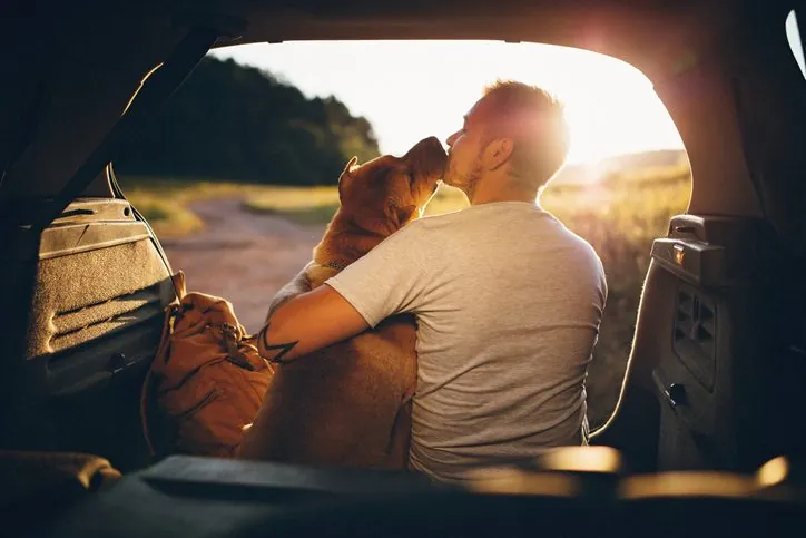 13 Sorprendentes Descubrimientos del Cerebro Canino y su Vínculo con los Humanos