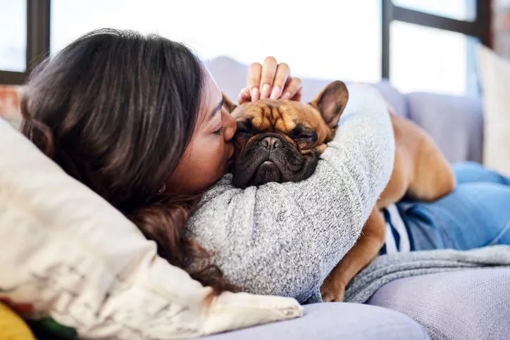 13 Sorprendentes Descubrimientos del Cerebro Canino y su Vínculo con los Humanos