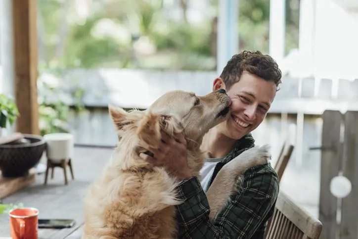 13 Sorprendentes Descubrimientos del Cerebro Canino y su Vínculo con los Humanos