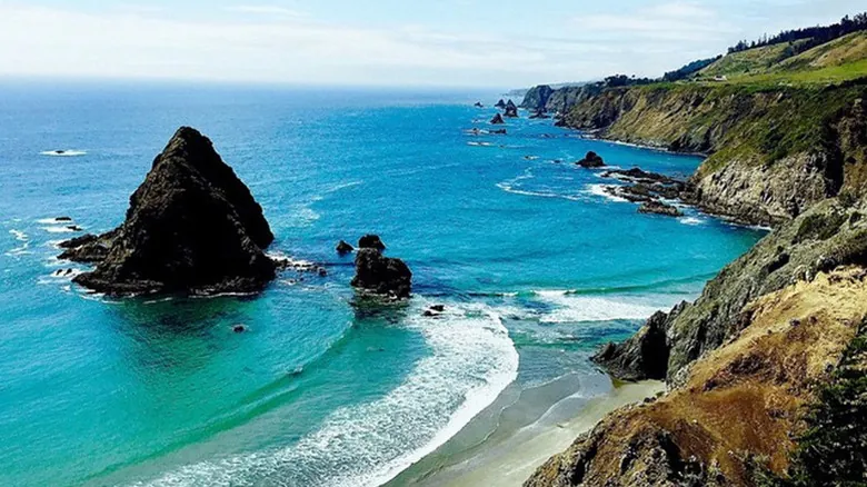 Acampada Inolvidable: Descubre el Encanto del Parque Estatal Navarro River Redwoods sin Reservas