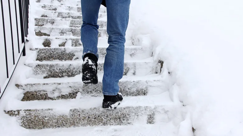 Adiós Nieve y Hielo: Descubre las Esteras Calefactoras para un Invierno Seguro y sin Esfuerzo