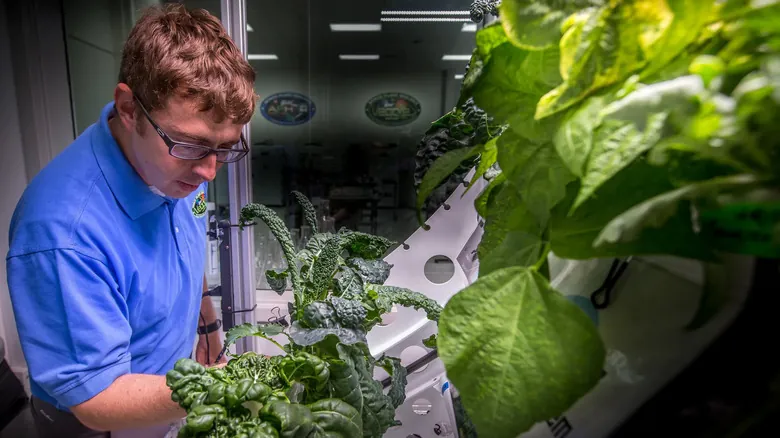 Alimentos Prohibidos en la Estación Espacial Internacional: Qué No Comen los Astronautas y Por Qué