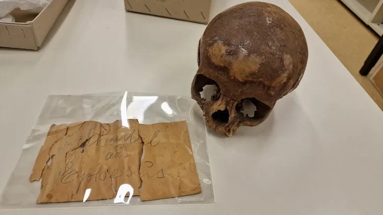 Antiguo Egipto: El Análisis de ADN Resuelve el Misterio de los Supuestos Restos de Arsinoë IV