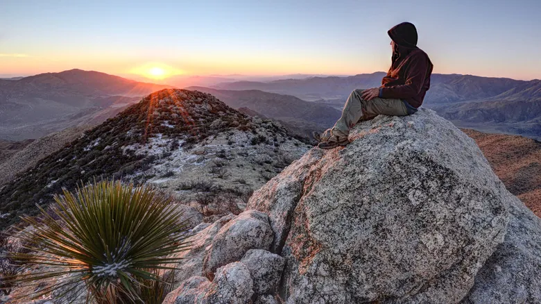Anza-Borrego: Explora el Tesoro Desértico de California y sus Maravillas Naturales