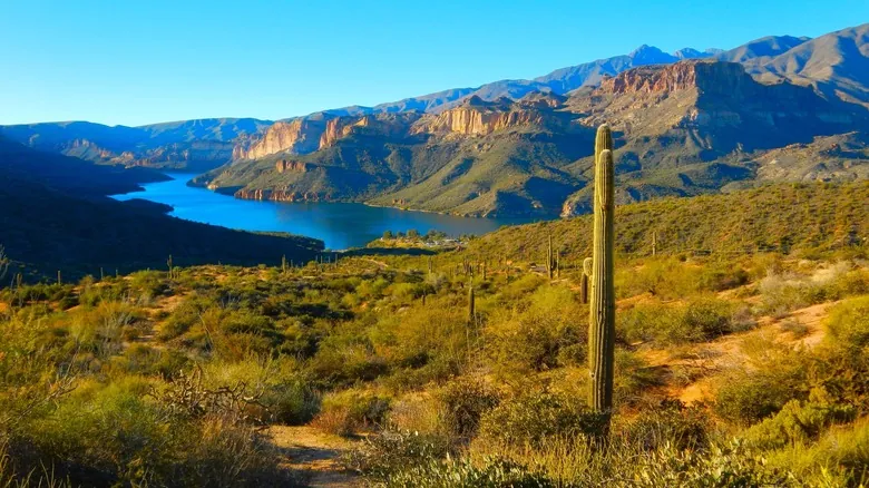 Apache Trail: Un Viaje Escénico Histórico por el Corazón de Arizona