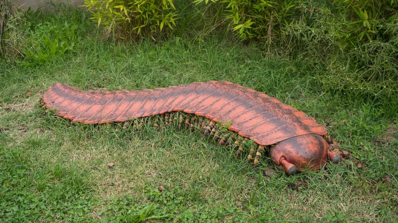 Arthropleura: Revelando los Secretos del Artrópodo Gigante Prehistórico