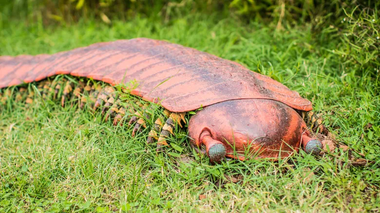 Arthropleura: Revelando los Secretos del Artrópodo Gigante Prehistórico