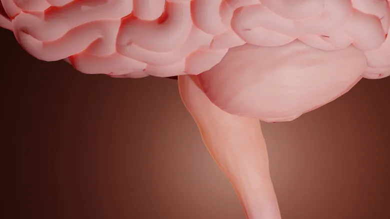 Asombrosa Resiliencia Cerebral: Casos Reales de Supervivencia tras Lesiones Severas