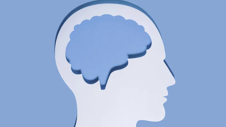 Asombrosa Resiliencia Cerebral: Casos Reales de Supervivencia tras Lesiones Severas