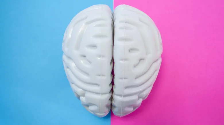 Asombrosa Resiliencia Cerebral: Casos Reales de Supervivencia tras Lesiones Severas
