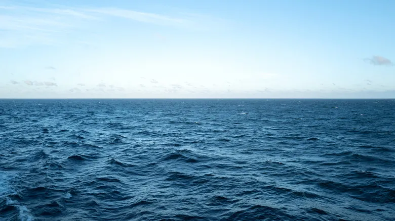 Aumento del Nivel del Mar: El Impacto del Cambio Climático en las Ciudades Costeras Globales y el Caso de Miami