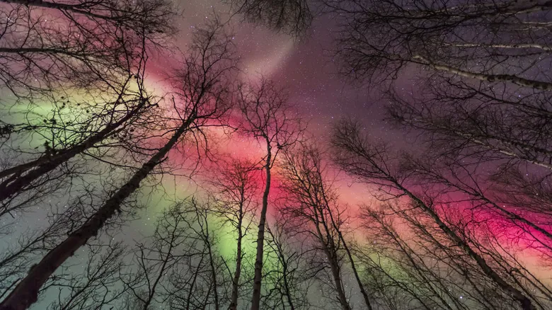 Auroras Boreales: Guía Completa para Ver las Luces del Norte y Entender su Origen