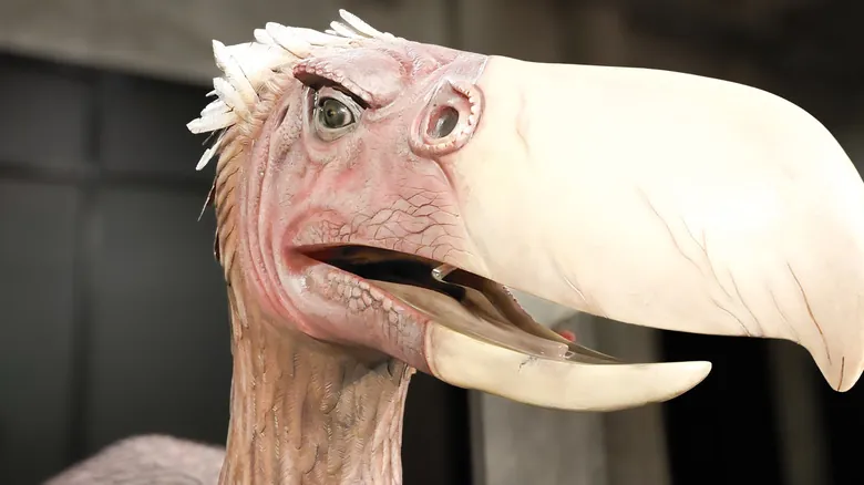 Aves del Terror: Depredadores Gigantes y su Huella Hipotética en la Tierra Actual