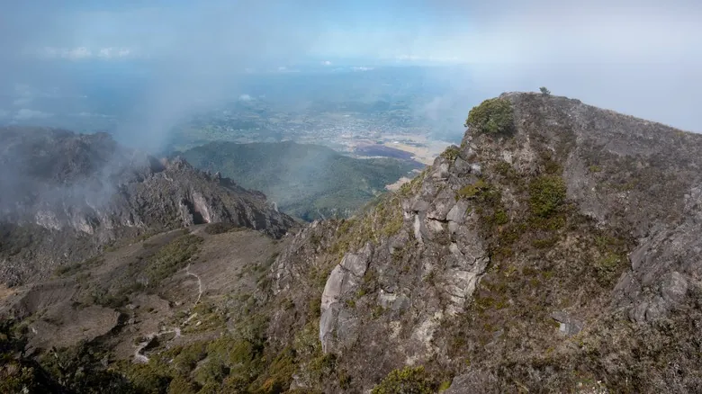 Aves del Terror: Depredadores Gigantes y su Huella Hipotética en la Tierra Actual