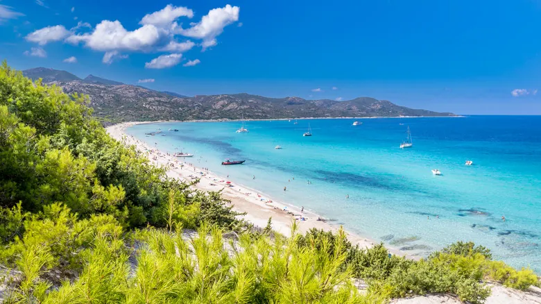 Banderas de Playa en Francia: Guía Esencial para la Seguridad Acuática