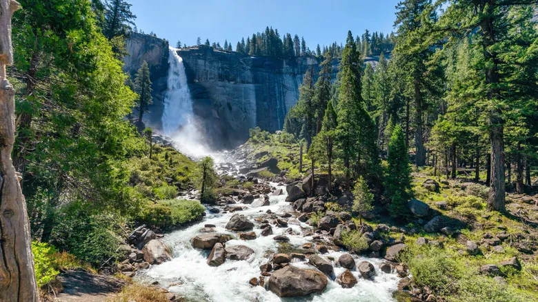 Biodiversidad en California: Desafíos Críticos y Esfuerzos de Conservación
