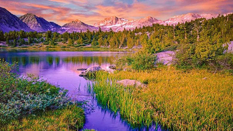 Bishop, California: Guía Definitiva para Explorar la Sierra Nevada y su Cultura Vaquera