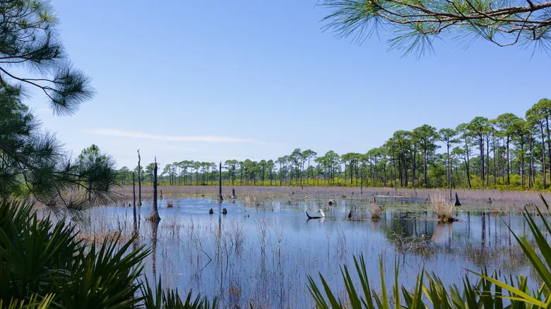 Bon Secour, Alabama: Un Refugio Costero de Encanto Auténtico y Naturaleza Inmaculada