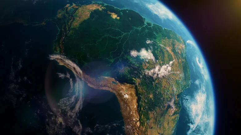 Bosques Tropicales: Santuarios de Biodiversidad Amenazados por el Cambio Climático Global