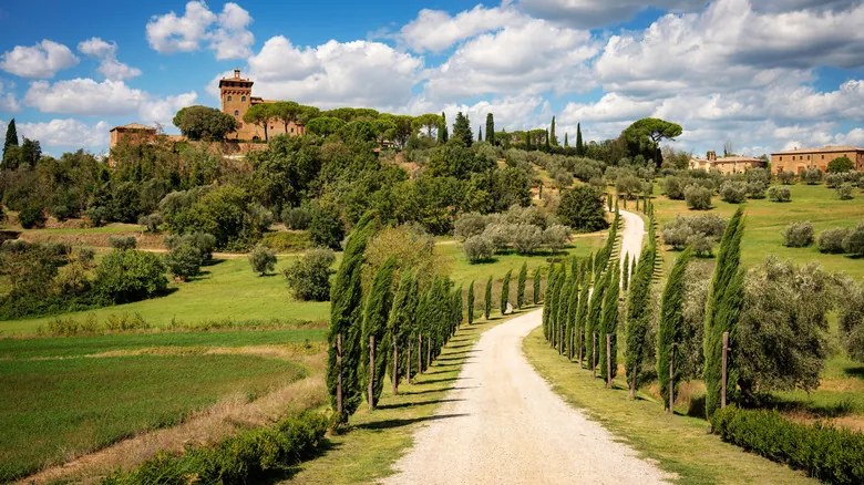 Camping en Toscana: Guía Definitiva de Parques y Glamping para Aventuras Naturales en Italia