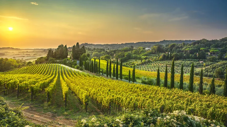 Camping en Toscana: Guía Definitiva de Parques y Glamping para Aventuras Naturales en Italia