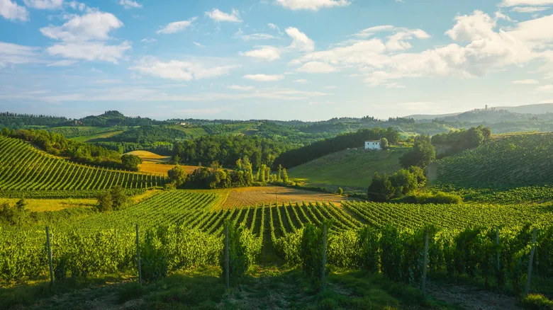 Camping en Toscana: Guía Definitiva de Parques y Glamping para Aventuras Naturales en Italia