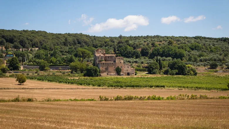 Camping en Toscana: Guía Definitiva de Parques y Glamping para Aventuras Naturales en Italia
