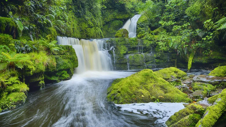 Cataratas McLean: Guía Completa para Explorar la Joya Escondida de Catlins, Nueva Zelanda