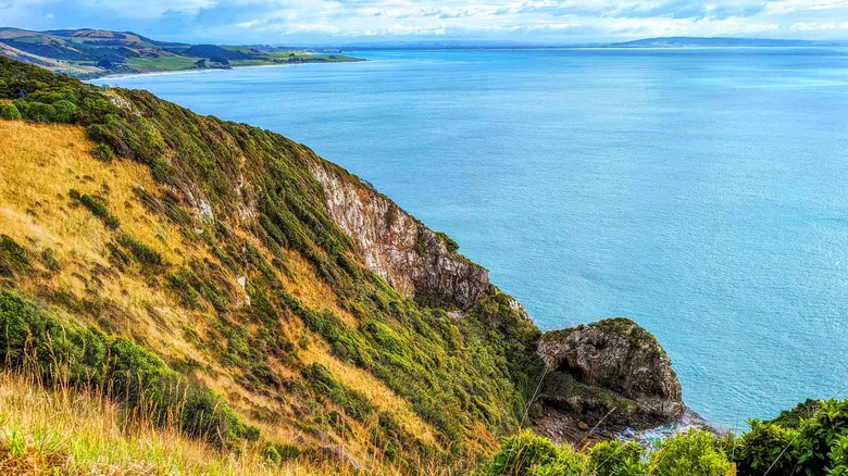 Cataratas McLean: Guía Completa para Explorar la Joya Escondida de Catlins, Nueva Zelanda