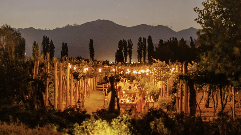 Cavas Wine Lodge: Santuario de Lujo y Vinos en Mendoza, Argentina