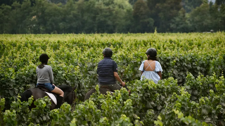 Cavas Wine Lodge: Santuario de Lujo y Vinos en Mendoza, Argentina
