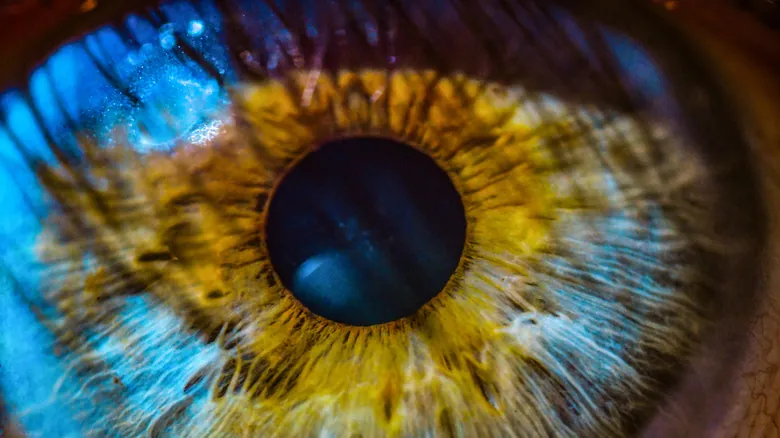 Ceguera Total: Desmitificando la Percepción Visual Más Allá de la Oscuridad