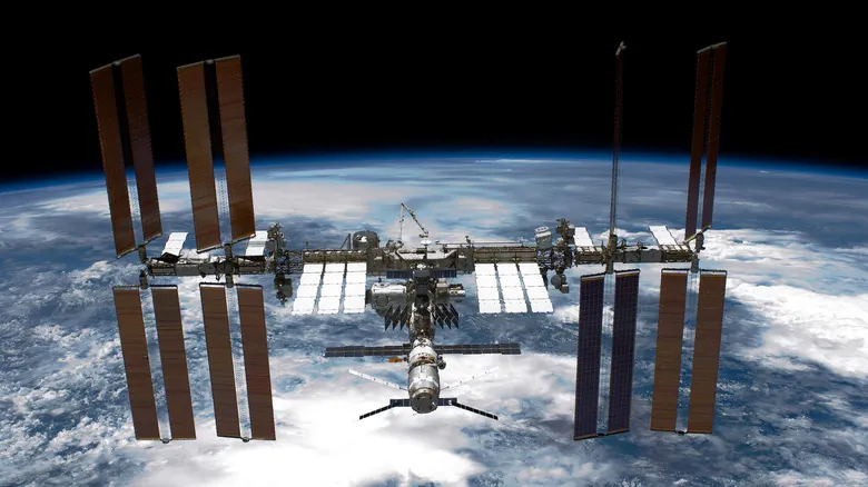 Células Madre en Microgravedad: El Futuro de la Medicina Regenerativa Espacial