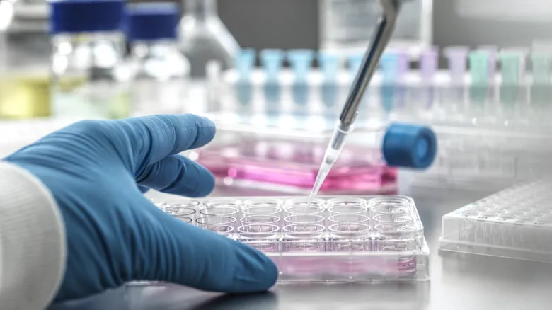 Células Madre en Microgravedad: El Futuro de la Medicina Regenerativa Espacial