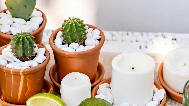 Centros de Mesa Atemporales: Guía Definitiva para una Decoración Estacional Elegante y Duradera