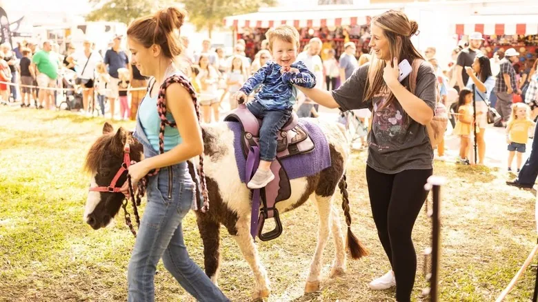 Clay County, Florida: Descubre el Paraíso Escondido para Vacaciones Familiares y Auténticas