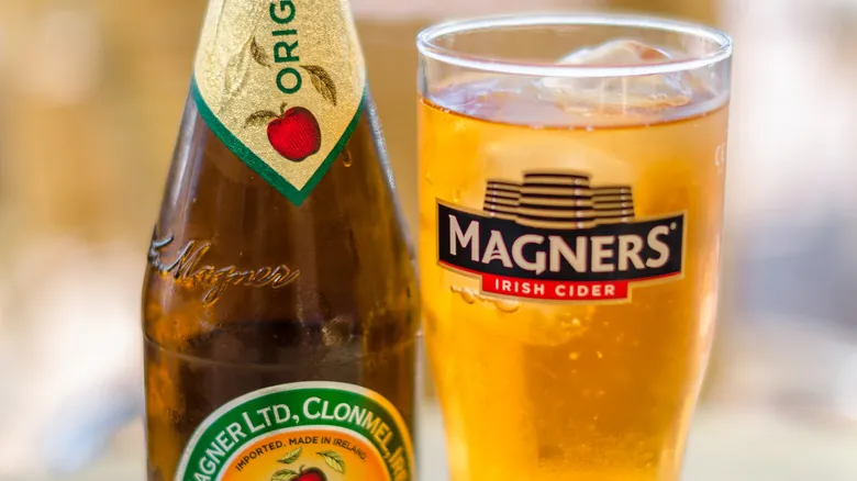 Clonmel, Irlanda: Un Viaje Evergreen al Corazón Histórico y Natural de Tipperary