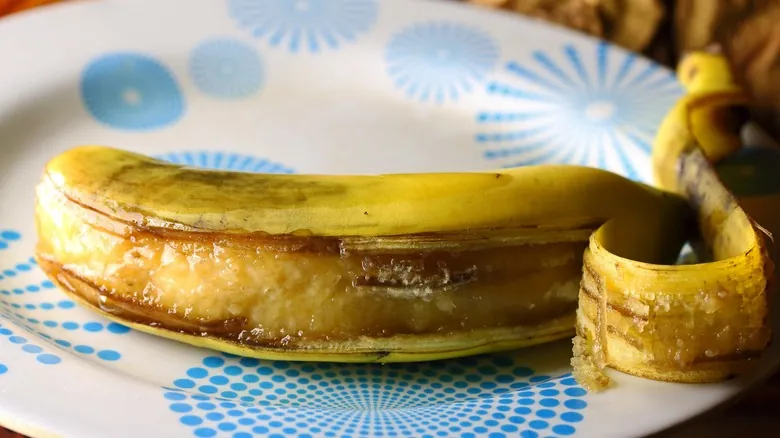 Cómo Atraer Colibríes a tu Jardín con Bananas Maduras: Un Secreto Natural y Efectivo