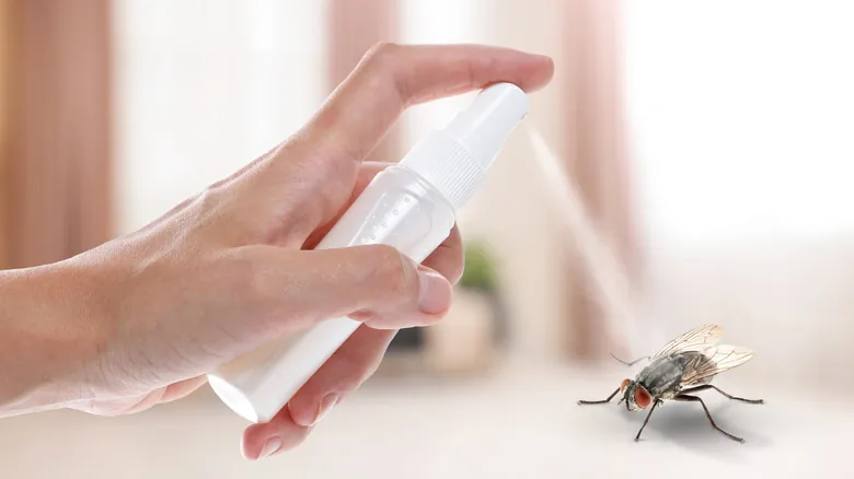 Control Natural de Moscas en Casa: La Guía Definitiva con Aceites Esenciales