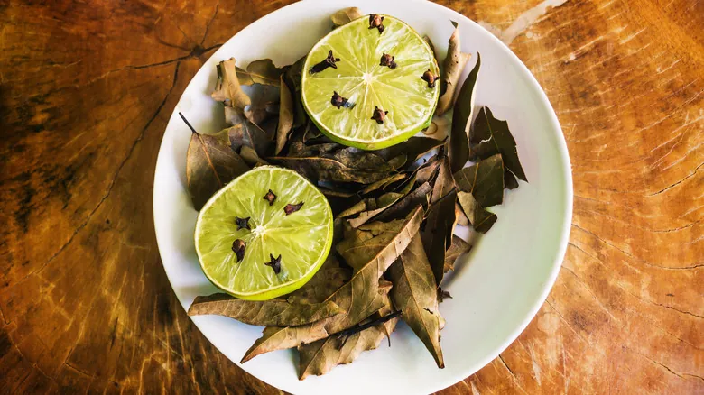 Control Natural de Moscas en Casa: La Guía Definitiva con Aceites Esenciales