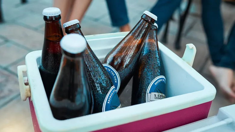 Crea una Nevera de Palets de Madera: Solución Rústica y Práctica para Bebidas Frías