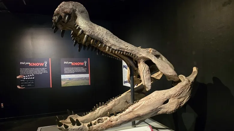 Criaturas Prehistóricas Gigantes: Un Vistazo a los Titanes que Cambiarían Nuestro Mundo Hoy