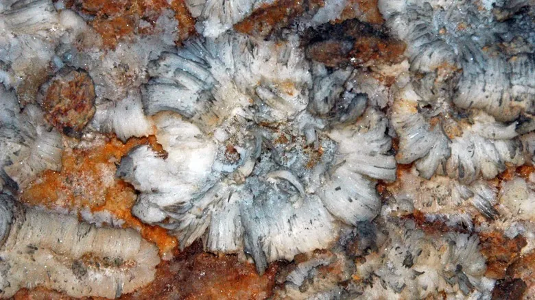 Cueva Mammoth: Un Viaje Fascinante por la Historia, Geología y Vida Subterránea