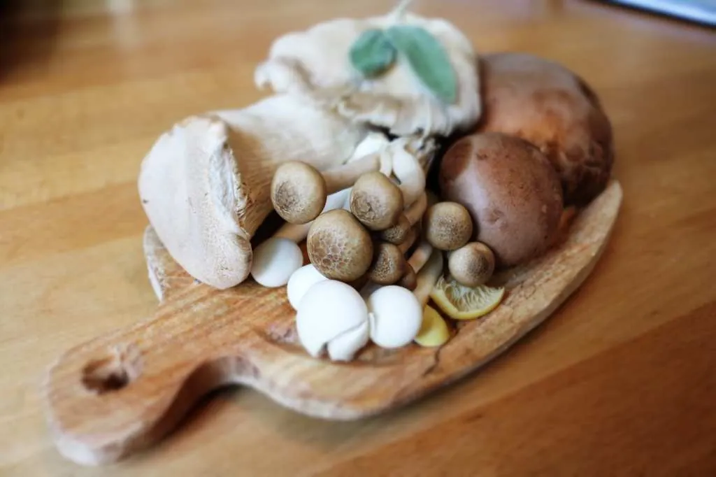 Cultivo Casero de Hongos: Guía Definitiva y Beneficios para la Salud