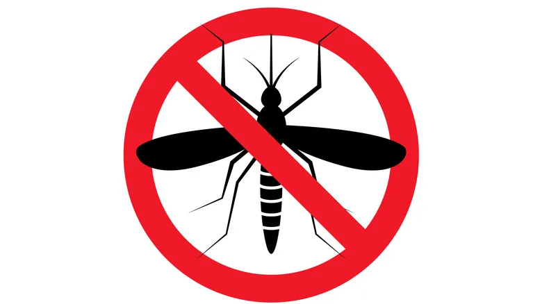 DEET: Guía Definitiva para una Protección Segura y Eficaz contra Insectos