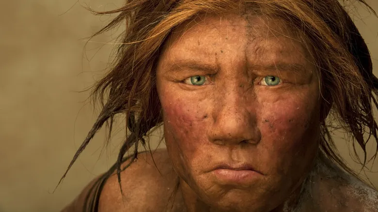Descifrando el Pasado Humano: La Huella Genética de Neandertales y Denisovanos en Homo Sapiens