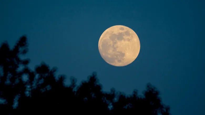 Descifrando la Ilusión Lunar: El Enigma de la Luna Gigante en el Horizonte